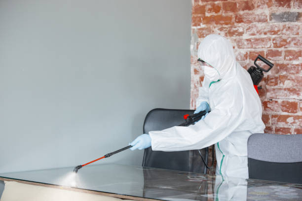 Biohazard Mold Removal in Frazeysburg, OH